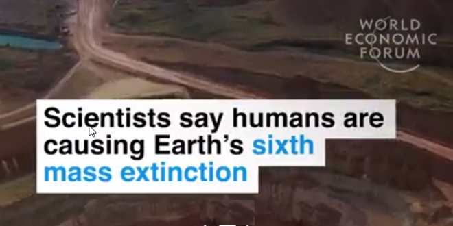 animals will become extinct