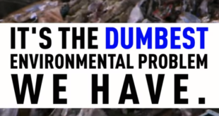 Dumbest Environmental Problem