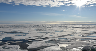 Arctic Sea Ice 10 Year Challenge