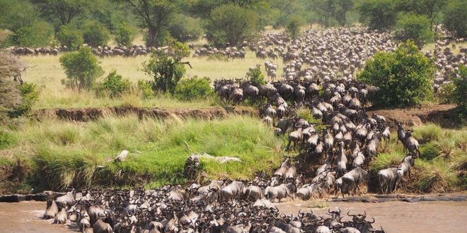 Human-wildlife conflict threatens protected reserves in East Africa