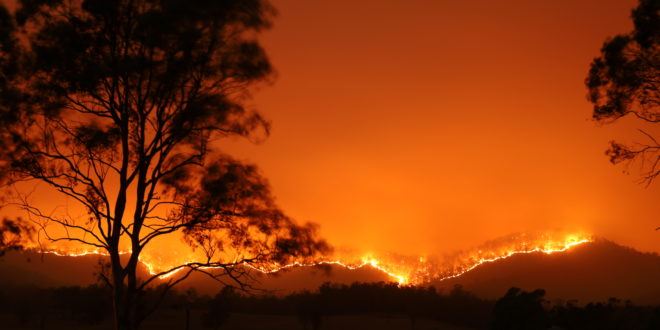The Australian bushfire catastrophe and how to help
