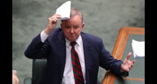 'Each-way Albo' has had it 'each-way' on climate change