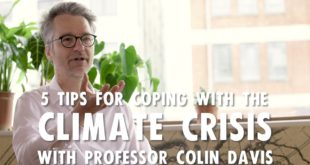 5 Tips for Coping with the Climate Crisis with Professor Colin Davis