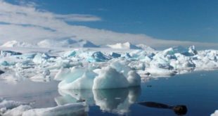 Antarctica records hottest temperature ever, amid rising concern over melting ice sheets