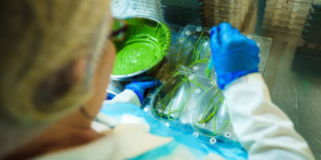 Asda tackles Easter egg plastic waste