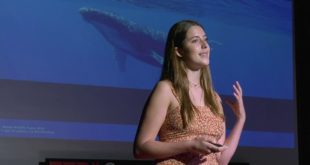 Climate Change: Must we? Can we? Will we?  | Lola Ellenberg | TEDxCrossroadsSchool