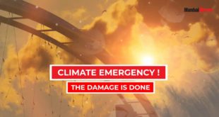 Climate Emergency: Can We Stop This Environment Destruction?