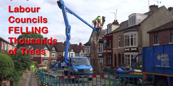 Climate Emergency vs Labour Tree Felling Councils Reality - Sheffield General Election 2019