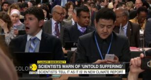 Climate emergency: More than 11,000 scientists globally declare climate emergency
