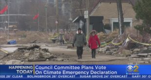 Council Committee Plans Vote On Climate Emergency Declaration