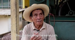 Fairtrade Foundation | 25 Years of Fairtrade - Peru Coffee Farmers Speak of the Climate Emergency