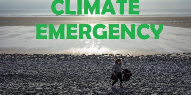 Grand Challenges Climate Emergency Challenge 2020: University Of Exeter