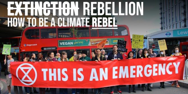 How to be a climate activist | Workshops with Extinction Rebellion