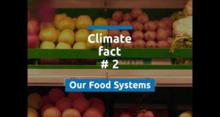Our Food Systems - Climate Facts 2 - Communities for Future