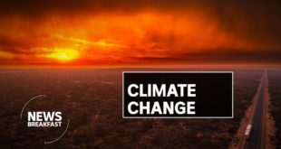 11,000 scientists declare climate emergency warning world faces catastrophic threat | News Breakfast