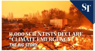 11,000 scientists declare “climate emergency” | THE BIG STORY | The Straits Times