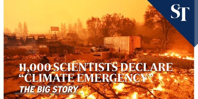 11,000 scientists declare “climate emergency” | THE BIG STORY | The Straits Times
