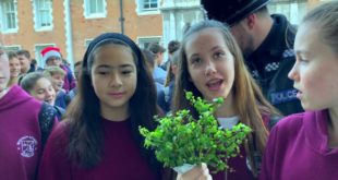 300 students strike for climate action