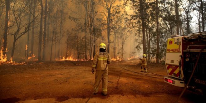 'Climate emergency' comments 'in poor taste'