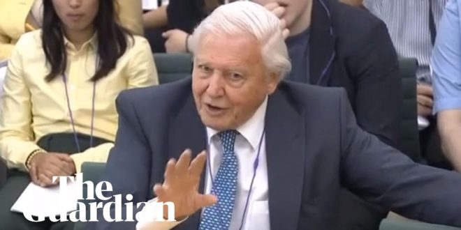 'We cannot be radical enough': David Attenborough urges action on climate emergency