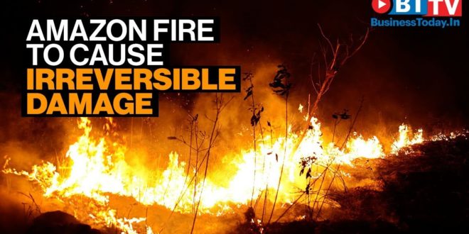 Climate emergency as  Amazon fires cause irreversible damage