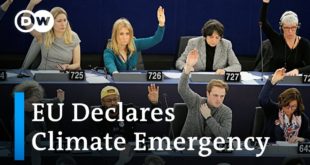European Parliament declares climate emergency | DW News
