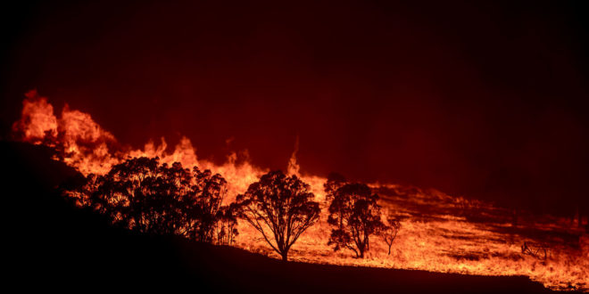 Fire Fallout: How Ash and Debris Are Choking Australia’s Rivers