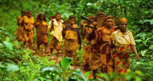 Green Violence: ‘Eco-Guards’ Are Abusing Indigenous Groups in Africa