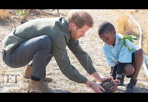 Prince Harry Says Climate Change Is An 'Emergency’