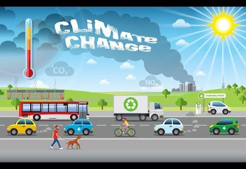 Sandwell's Climate Change Video