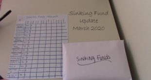 Sinking Funds Check In // March 2020 // How Much Money Is In My Sinking Funds?