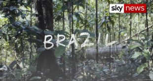 Surge in deforestation in Amazon rainforest | Hotspots