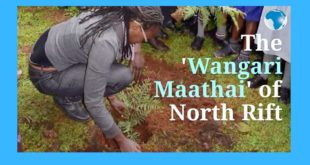 The 'Wangari Maathai' Of North Rift