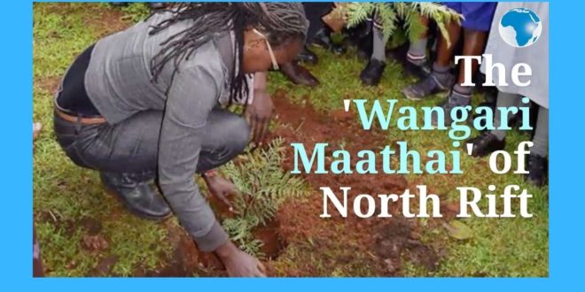 The 'Wangari Maathai' Of North Rift