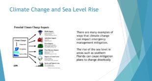 The Role of Emergency Management and Climate Change/Sea Level Rise