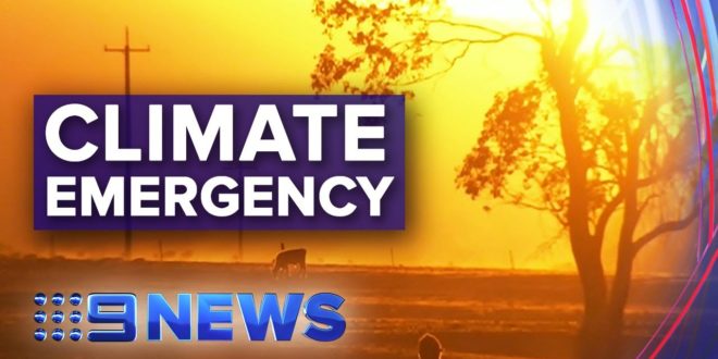 Thousands of scientists join forces to declare climate emergency | Nine News Australia