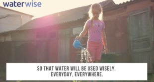 Waterwise Conference 2020: Climate Emergency