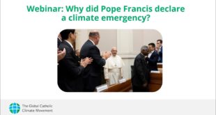 Webinar: Why did Pope Francis declare a climate emergency?
