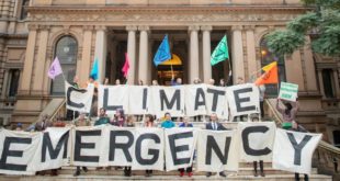 What are Labor MPs 'doing in their real lives' on a 'climate emergency'?