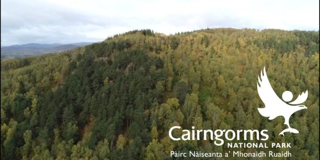 Woodland Expansion in the Cairngorms National Park