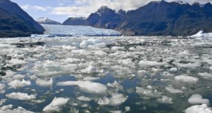‘Worst case scenario’: Polar ice caps and Greenland ice sheet melting six times faster than in 1990s