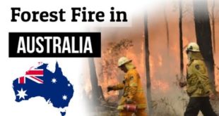 Australia में Forest Fire | Climate Emergency (जलवायु आपातकाल) | आस्ट्रेलियन Wildlife खतरे में.....