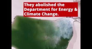 Climate Emergency Animation - Liberal Democrats