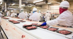 EWG: Without Worker Protections, Trump’s Planned Order To Keep Meat Plants Open During Pandemic Could Be a Death Sentence