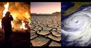 Earth Moves Towards A Global Climate Emergency