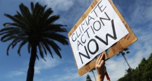 Employees Are Fighting For A New Cause At Work: The Climate