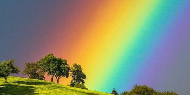 Fantastico arcobaleno, meraviglia della natura

PH: 
Via 

 Previsioni aggiornat...