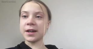 Greta Thunberg: We must fight the climate crisis and pandemic simultaneously