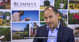 Mustapha El-Bouhssini (ICARDA) on insect pests and climate change