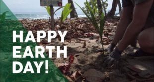 Planting sloth-friendly trees under lockdown on Earth Day